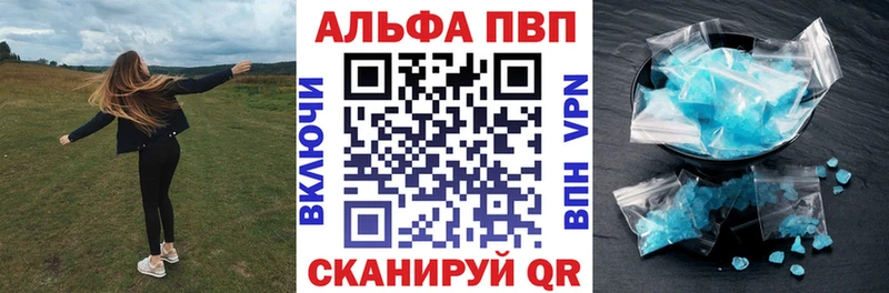 A PVP СК  Ардатов 