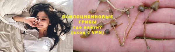 дурь Алзамай