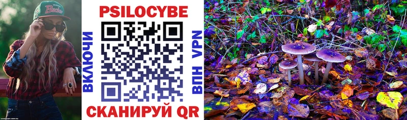 Галлюциногенные грибы Psilocybine cubensis  Ардатов 